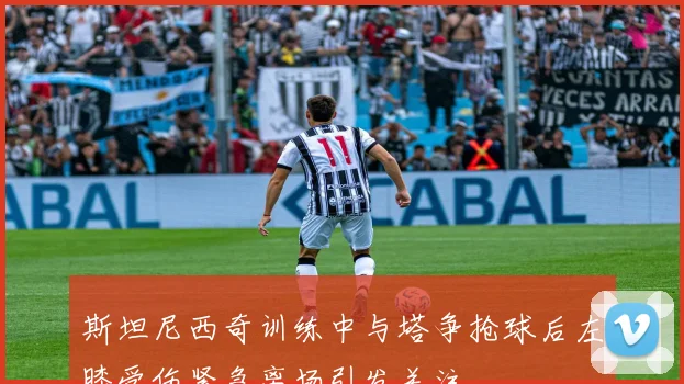 斯坦尼西奇训练中与塔争抢球后左膝受伤紧急离场引发关注